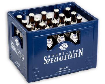 Bild von BORBECKER DAMPFBIER    20X0,5L