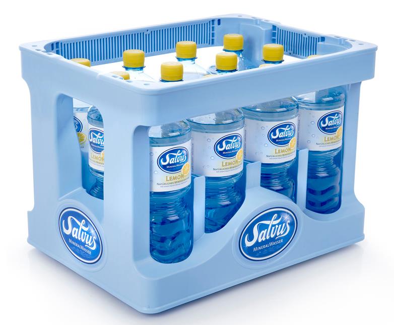 Bild von SALVUS LEMON PET INDIV.  12X1L